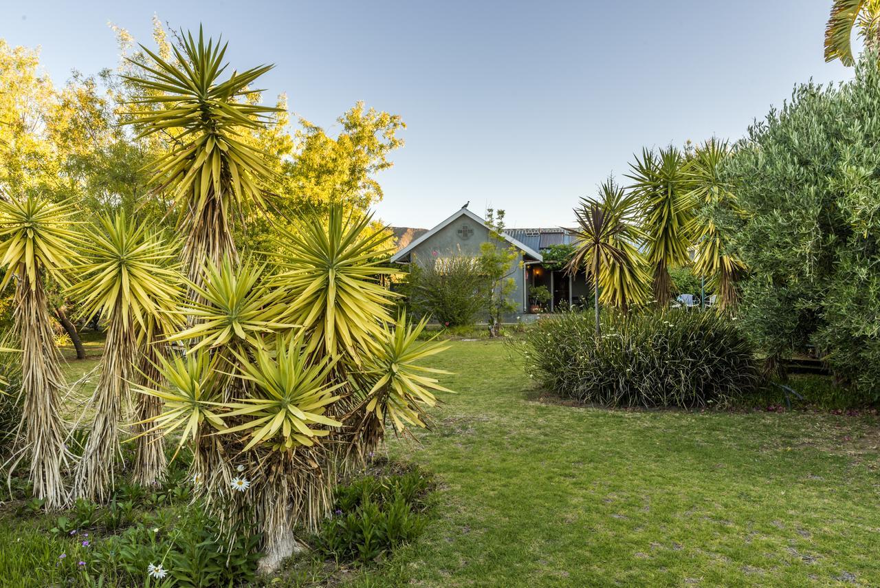 Karoo * Prince Albert